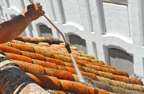 Nettoyage de toitures - Genouilly